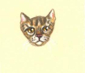brown tabby colored pencil drawing OOAK original NOT a print