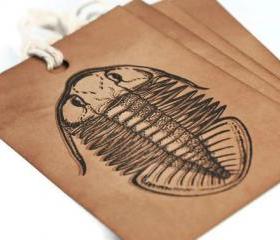 Fossil Kraft tags. Trilobite. Gift Tag / label / decoration / brown / outdoor / old / Archeologist / research / collector / paleozoic