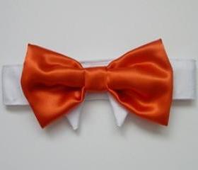 Formal Dog Bow Tie : Wedding Tango Tangerine