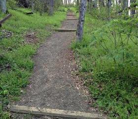 Art photography The Path Less Traveled 