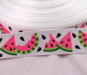 3 Yards 7/8' Watermelon Grosgrain Ribbon