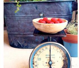 Country Fresh Organic Raspberries - Fine Art Food Photography No.3- 8x10 Print