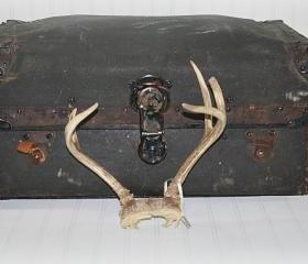 Vintage Deer Antlers
