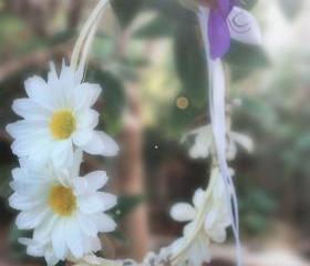 daisies hair crown