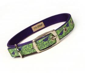 lime and purple modern birds metal buckle dog or cat collar (1/2 inch)