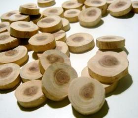 Cedar Wood Tree Branch Slices 150 piece Wholesale Lot