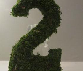 Moss Covered Table Numbers
