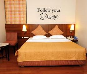 Follow your Dreams Vinyl decal