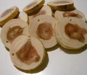 20 Cedar Tree Branch Slices Drilled DIY Wedding