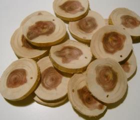 75 Cedar Tree Branch Circles Drilled DIY Wedding