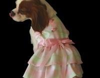 Dog Dress: soft pink and green pastel