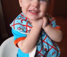 dr seuss baby bib toddler bib