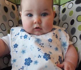 spring children baby girl bib minky bib blue spring flowers