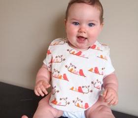 baby bib birds mandarin pink coral orange minky cotton infant newborn drooler