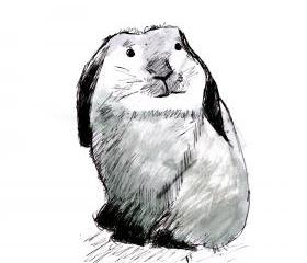 Bunny Rabbit Art Print Black and White Animal Ink Drawing Series 