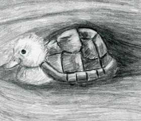 Turtle Duck Pencil Drawing Black and White Print - Hybrid Animals Series