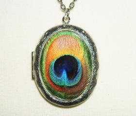 PEACOCK FEATHER Necklace Locket Altered Art Pendant