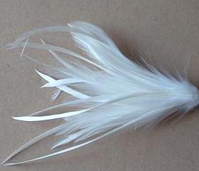 Hackle and Biot Feather Pick - White