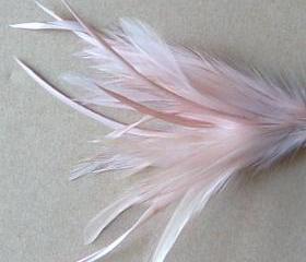 Heckle and Biot Feather Pick - Nude