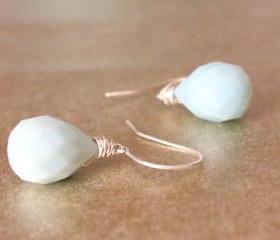 MOCKINGBIRD--Amazonite Sterling Silver Earrings