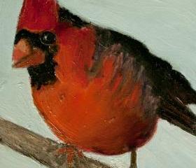 Snow Bird, Cardinal, Fine Art Print