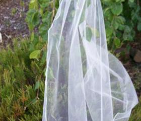 Single Layer Bridal Veil - 36 Inch