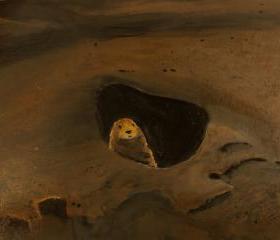 Animal Art, Prairie Dog, Brown Landscape Original Painting