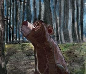 Brown Bear Illustration Art Print from Watercolor Pencil Drawing