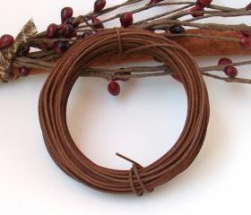 Rusty Tin Wire - 30 Feet 22 Gauge - Primitve Supply - Sewing or Craft Projects