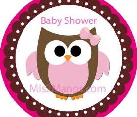 Baby Owl Baby Shower Sticker Labels 2 inch Round Party Favor Stickers Set of 20