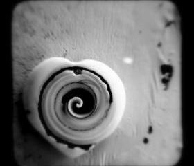 Love Heart Photo 5x5 Romantic Black and White Print - TtV Photography Wall Decor
