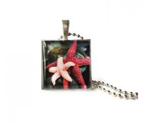 Red Pink Star Fishes Glass Antique Silver Pendant Underwater Life Keychain