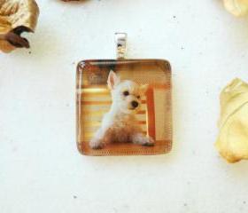 Square Glass Tile 7/8 Inch Puppy Jewelry West Highland White Terrier