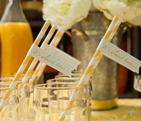 It's Almost Time - Baby Shower Paper Straws with Flags - Set of 12