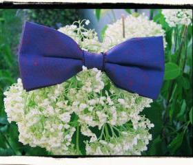 Redish Purplish Bowtie