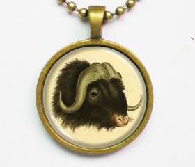 Animal Illustration Necklace - Wild Cattle Bos Mofchatus Penn.- Altered Vintage Illustration Art