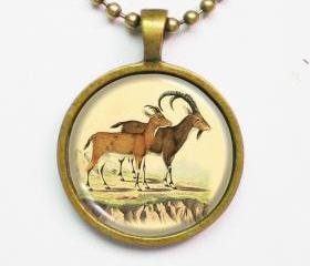 Animal Illustration Necklace - Couple of Beden Forsk - Altered Vintage Illustration Art