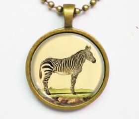 Zebra Necklace - Vintage Animal Illustration of Zebra- Altered Art Vintage Illustration