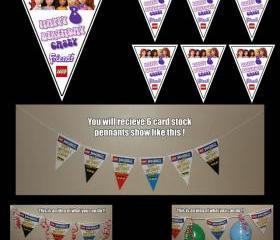 Lego Friends 6-Triangle Pennant Banner