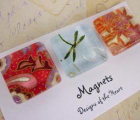 Square Glass Magnet set - Flowers and Dragon Flies