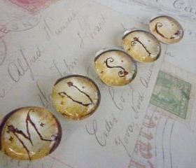 MUSIC - Glass Magnet Set