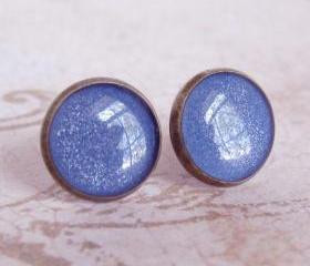 Stud Earrings, Resin Post Earrings, Fake Plug Earrings - BLUEBERRY