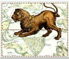 Zodiac Sign Leo Constellation, vintage celestial map printed on parchment paper. Buy 3 and get 1 FREE