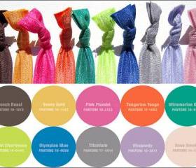 Hair Ties - The Pantone 2012 Fall Collection - Set of 10 - Elastic Hair Ties - Sweet Petites