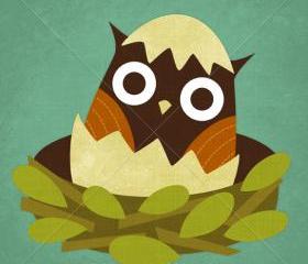 35R Retro Owl Hatching 6x6 Print