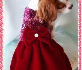 Dog Dress Christmas Dresses Red Velvet
