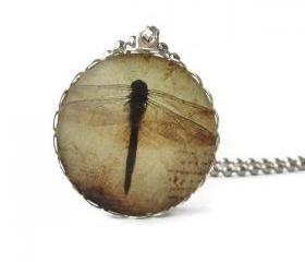 Ephemera Dragonfly 1 inch Glass Pendant Sepia Black Brown