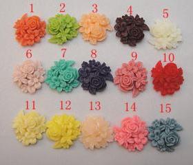4pcs 15 colors Resin Cabochons 25mm BW-SZ-167