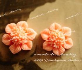  2pcs Vintage Resin Cabochons 16mm BW-SZ-78