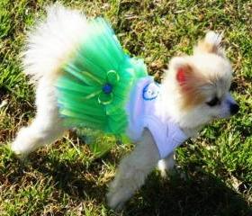 TuTu Seaside Wedding Dog Clothes 
